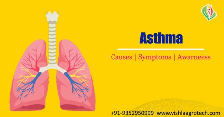 Asthma Facts : Symptoms, Causes, Treatments, & More