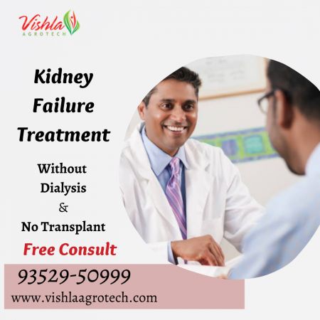 Kidney failure treatnent by Ayurveda
